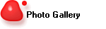 Photo Gallery