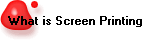 What is Screen Printing