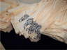 Manatee Arts Sleeves