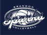 Brandon Sparks Volleyball